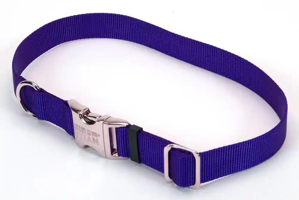 Adjustable Dog Collar With Metal Buckle, Blue, 1" X 14"-20"