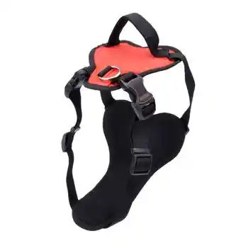 Harness, Red, 5/8" X 16"-24"