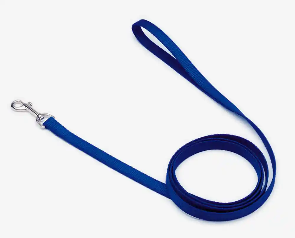 Single-ply Dog Leash, Blue, 5/8" X 4'