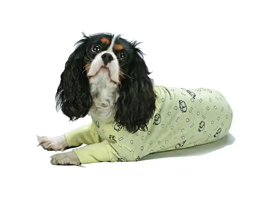 Sweet Dreams Pajamas Small Yellow