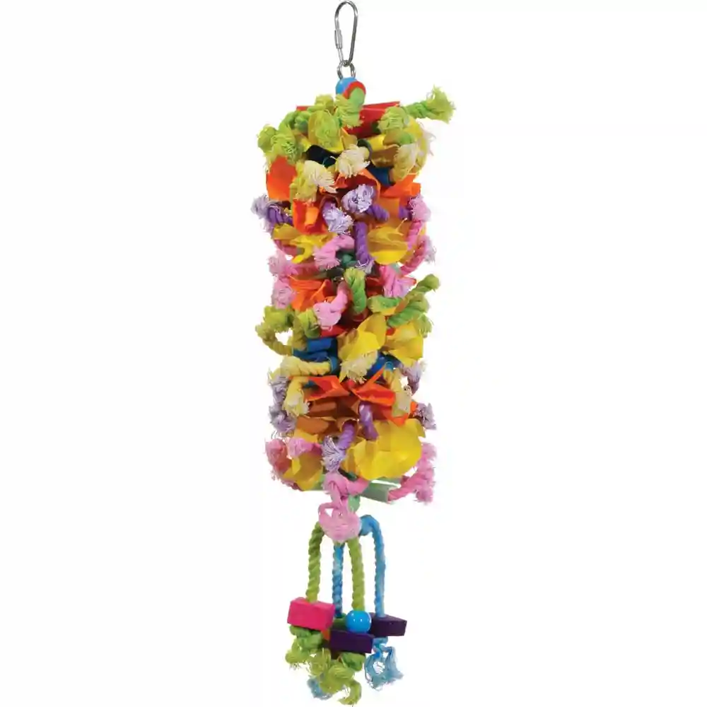 Calypso Creations Club Medium