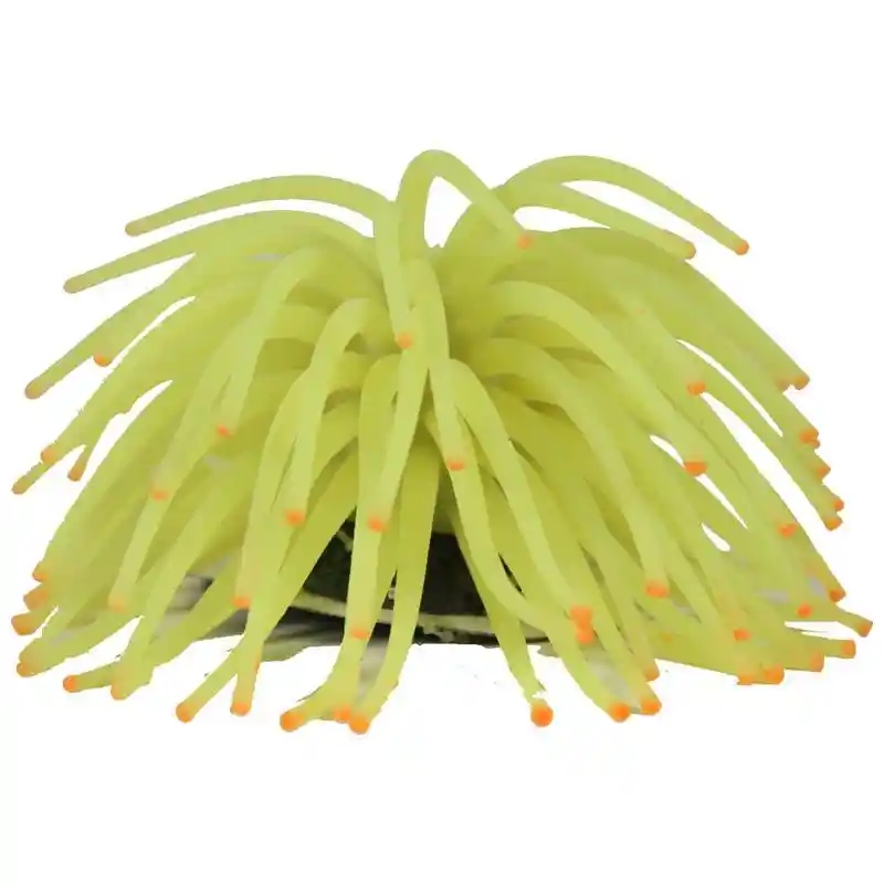 Tet Ornmt Glofish Yl Anemone;