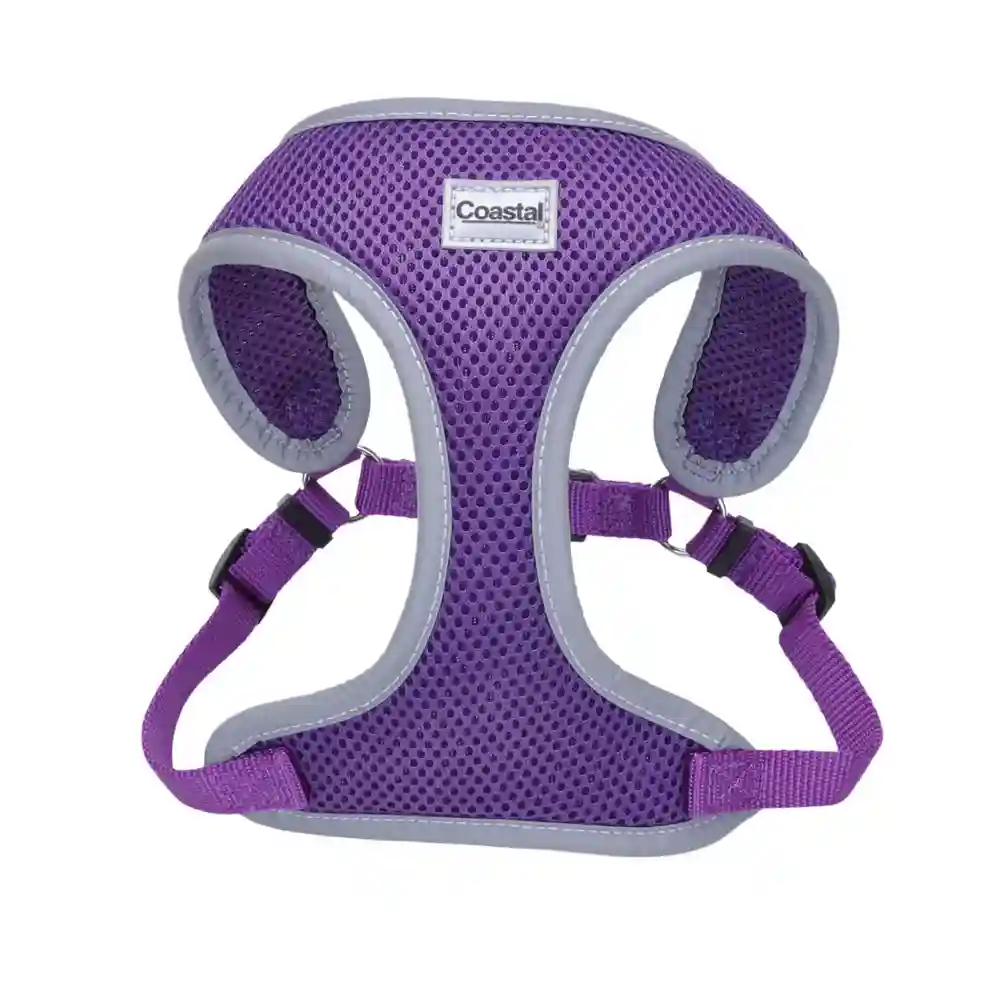 Designer Wrap Adjustable Dog - Purple Sketched Floral Xsml 5/8" X 16" 19"