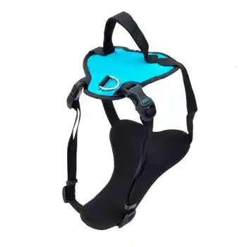 Harness, Aqua, 1" X 30"-43"