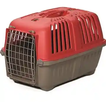 1419spr Spree Red Pet Carr 19";