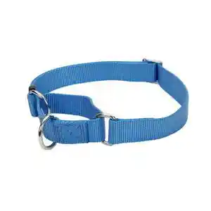 Martingale Adjustable Dog Collar, Blue Lagoon, 3/4" X 14-20"