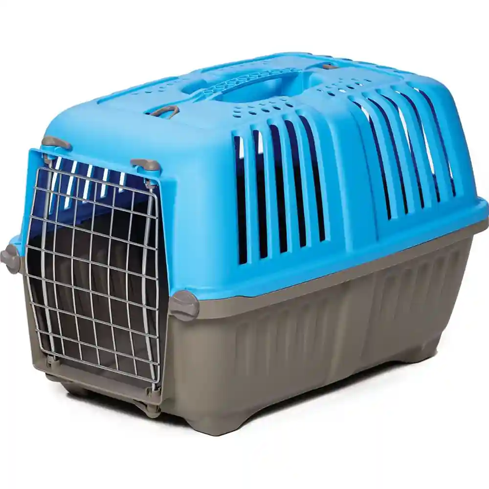 1419spb Spree Blu Pet Carr 19";