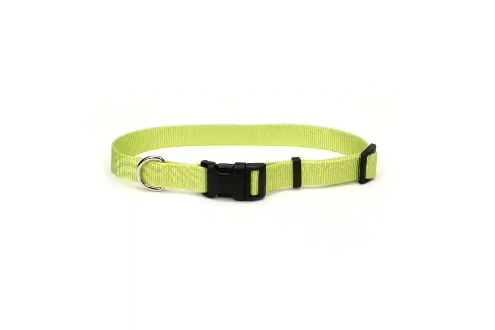 Adjustable Dog Collar With Plastic Buckle, Lime, 1" X 18" - 26"