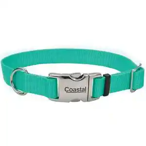 Adjustable Dog Collar With Metal Buckle, Teal, 3/4" X 14" - 20"