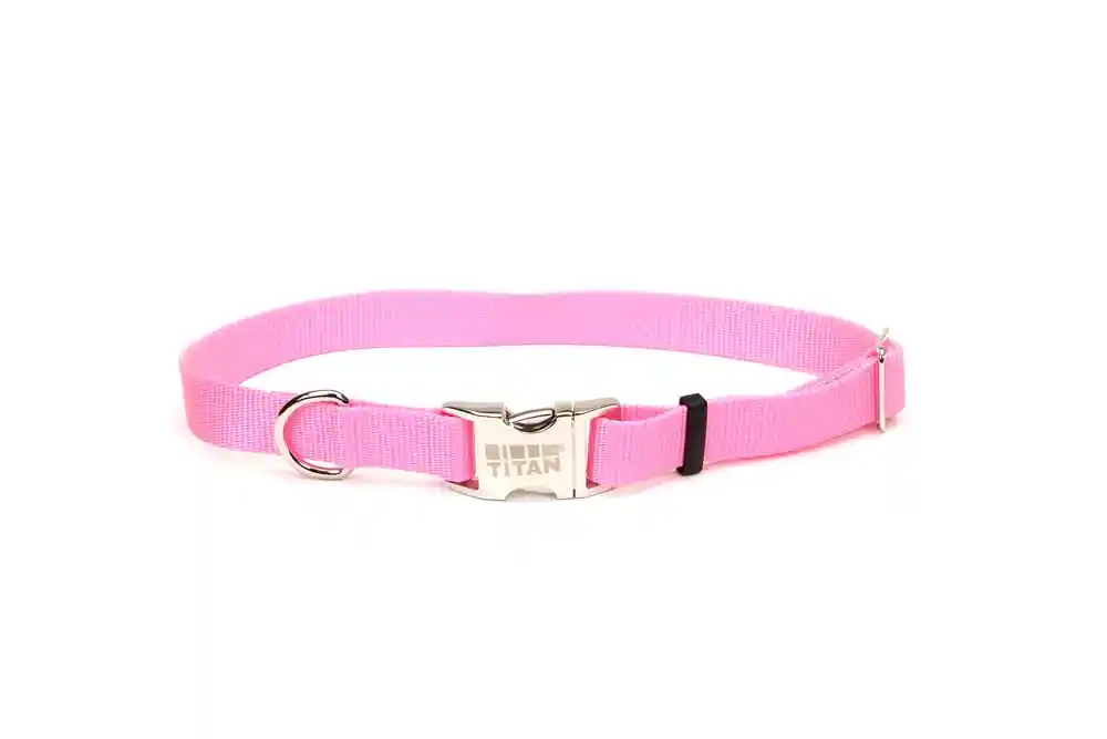 Adjustable Dog Collar With Metal Buckle, Pink Bright, 1" X 14"-20"