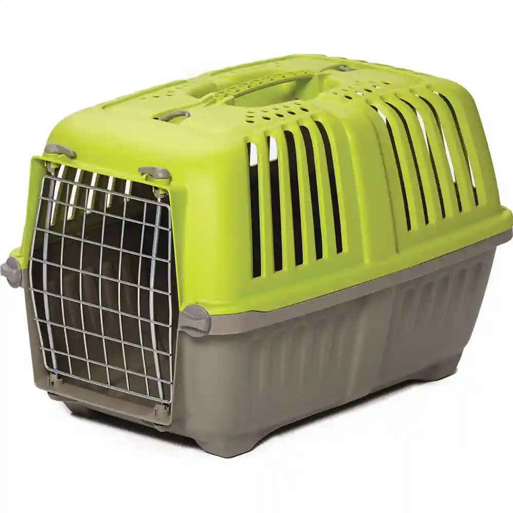 1422spg Spree Grn Pet Carr 22";