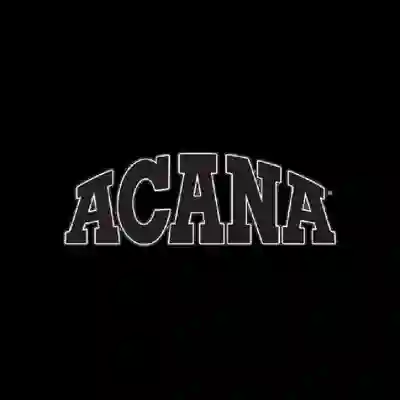 Image Alternative Text