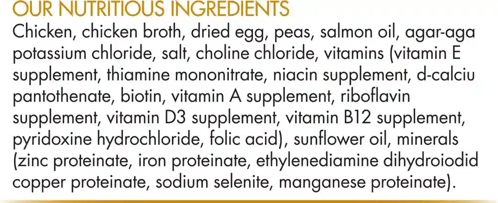 Grain-free Pure Foundations Puppy Formula With Chicken Canned Dog Food 13-oz