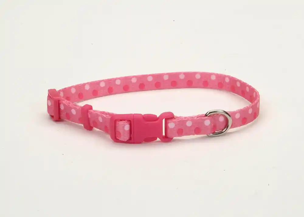 Adjustable Dog Collar, Pink Dots, 3/8" X 08"-12"