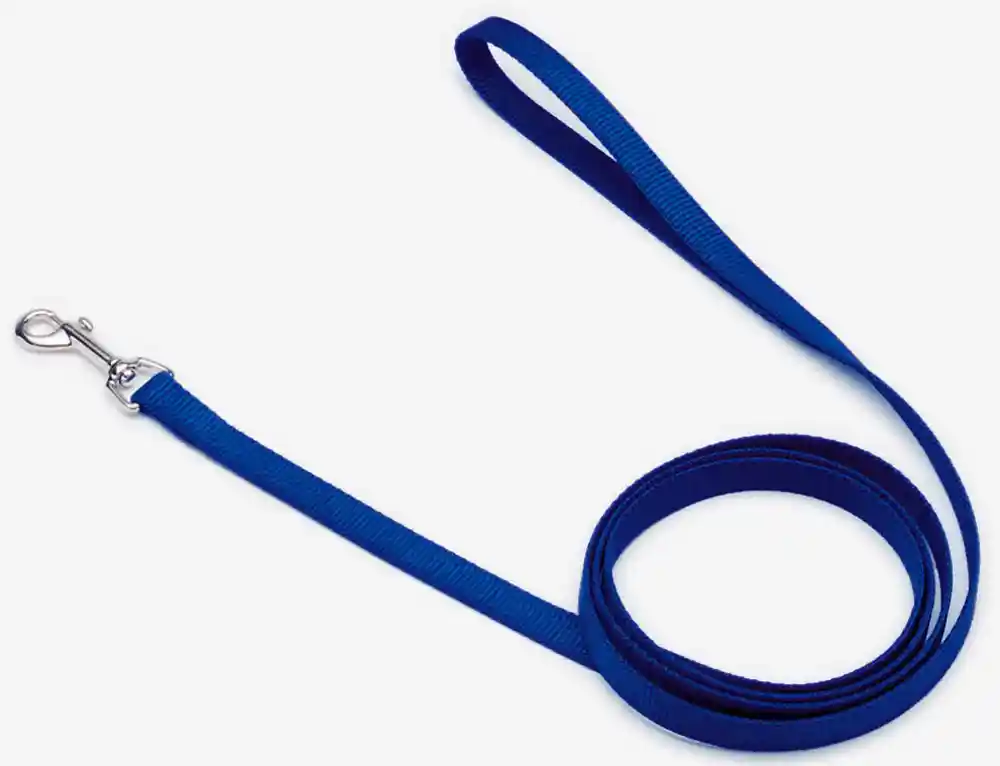 Single-ply Dog Leash, Blue, 3/4" X 6'