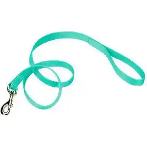 Single-ply Dog Leash, Teal, 3/4" X 6'