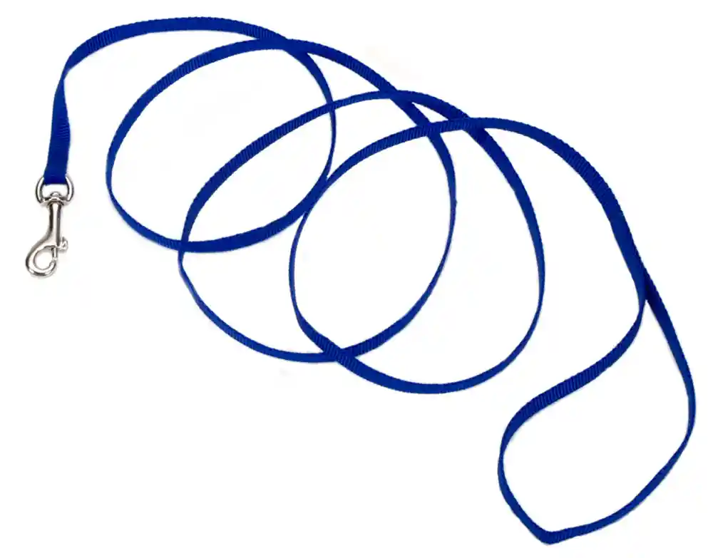 Single-ply Dog Leash, Blue, 3/8" X 6'