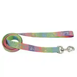 Patterned Leash, Rainbow Hearts, 5/8" X 6'