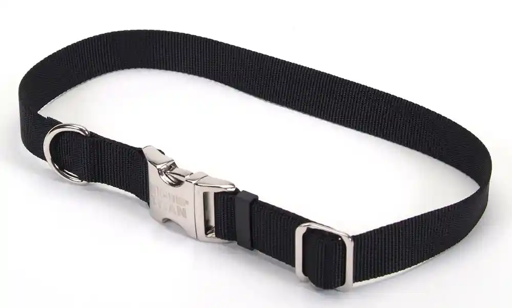 Adjustable Dog Collar With Metal Buckle, Black, 5/8" X 10"-14"