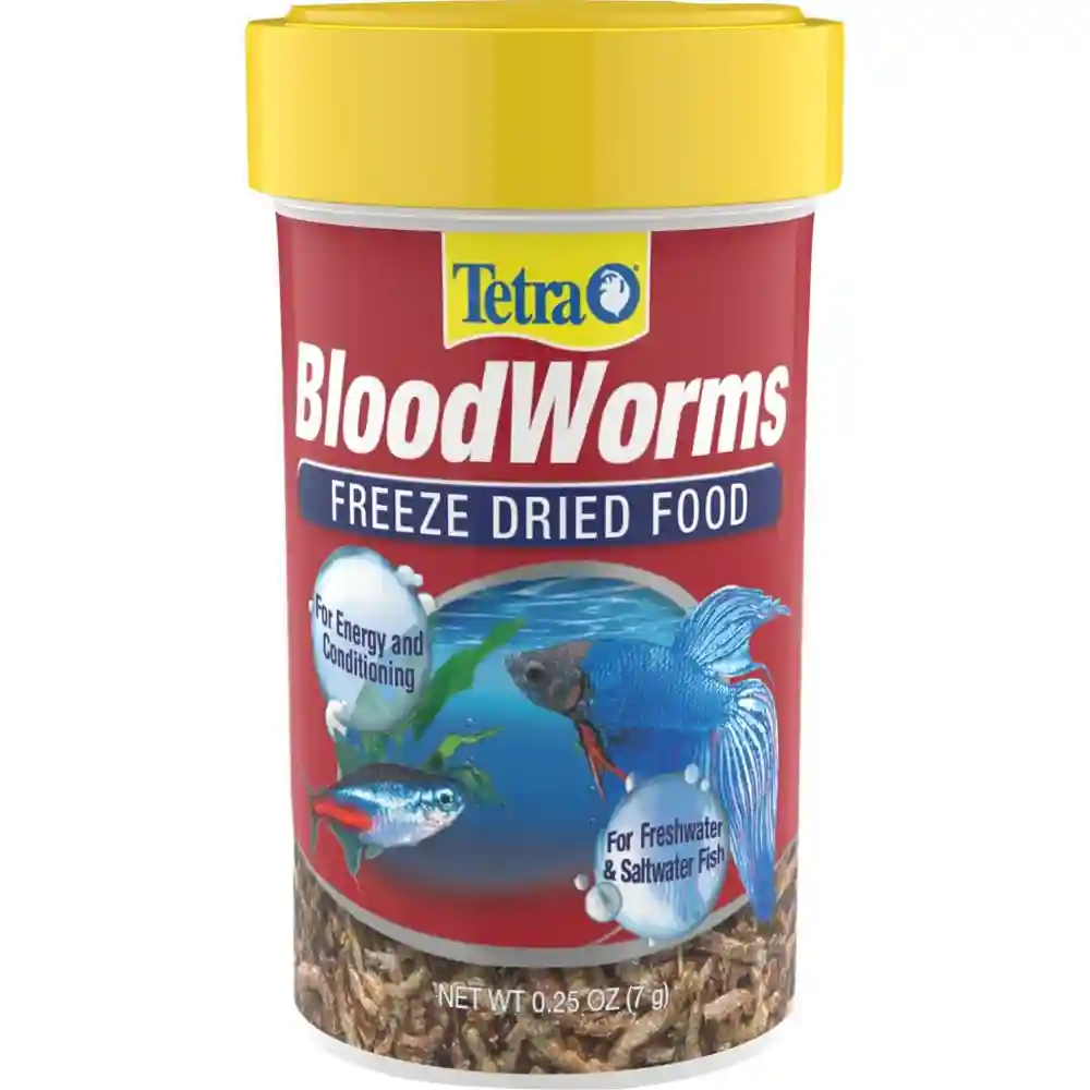 .25 Pz. Bloodworms