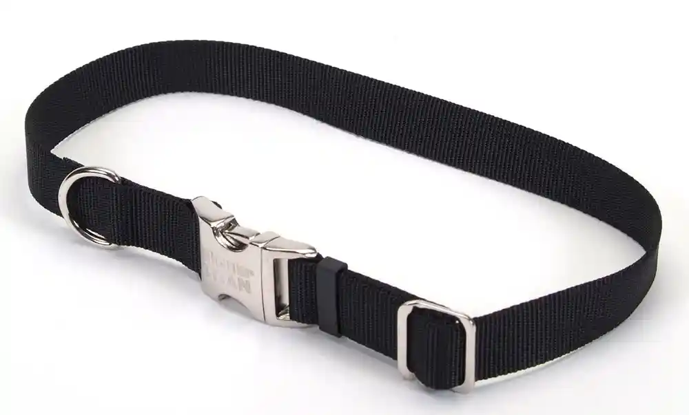 Adjustable Dog Collar With Metal Buckle, Black, 1" X 18" - 26"