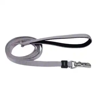 Leash, Grey, 1" X 06'