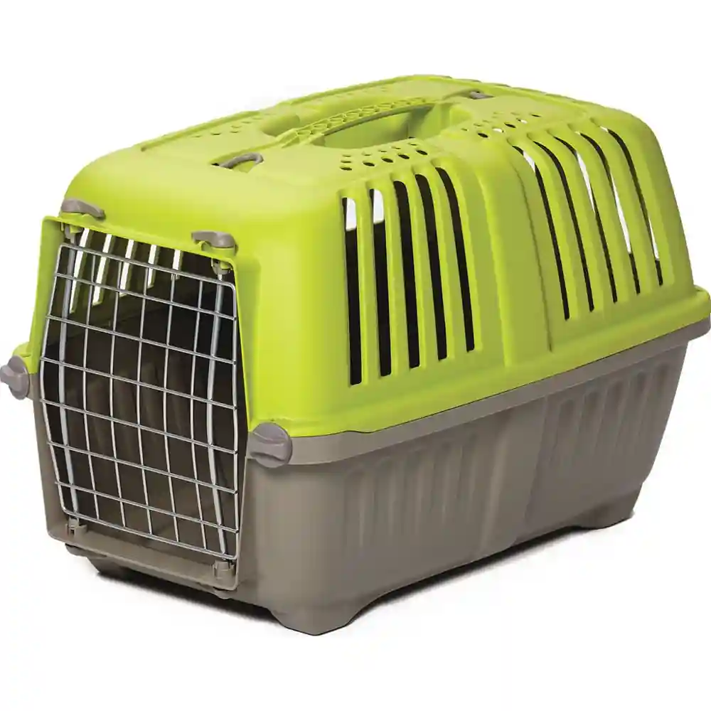 1419spg Spree Grn Pet Carr 19";