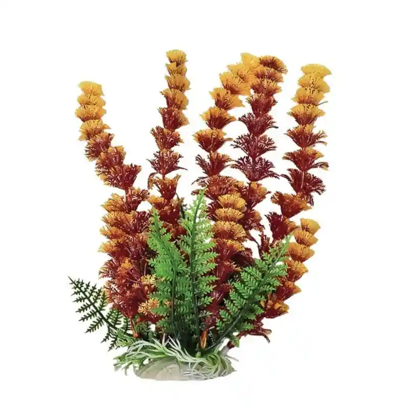 Plant Cabomba Fire 6"