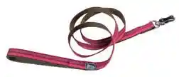 Reflective Dog Leash With Scissor Snap, Sapphire, 5/8" X 6'