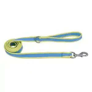 Reflective Dog Leash, Aqua With Neon Yellow, 1" X 06'