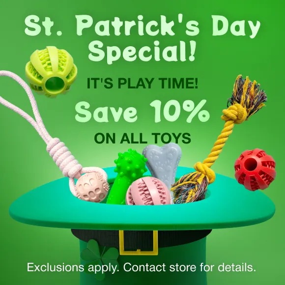 Promotion Image