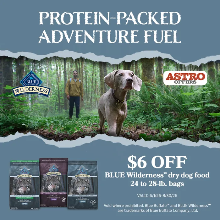 Promotion Image