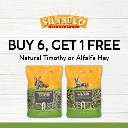 Promotion Image