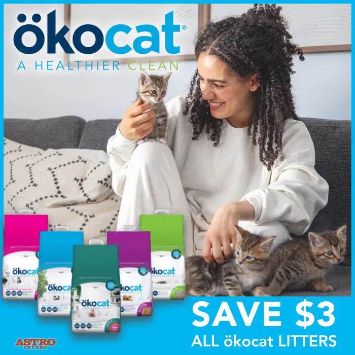 Promotion Image