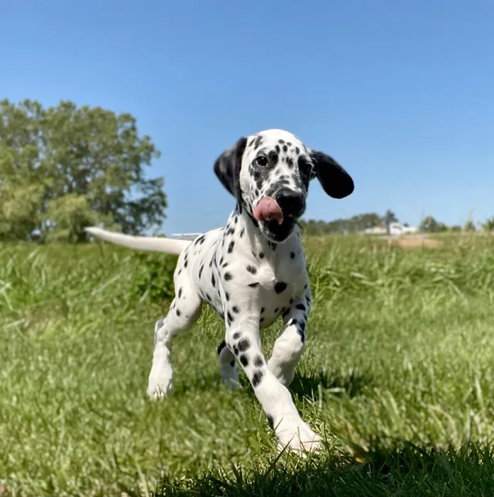 image_cropper_04DB8518-4D4F-4E2C-85AA-6129509F3AAE-882-0000004F64EABF19.jpg